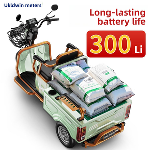 No-Petrol Electric Trike | <b>Passenger</b> & Cargo Dual Use Battery Vehicle for Kids School Pickup & Daily Use - Product Image 5