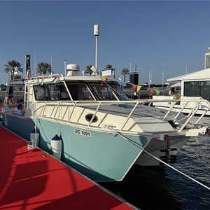 Catamaran familial de plaisance de <span class=keywords><strong>10</strong></span> mètres, bateaux en aluminium pour la pêche en haute mer, navire de loisirs, yacht en aluminium, <span class=keywords><strong>bateau</strong></span> de sport de plaisance - Product Image 4