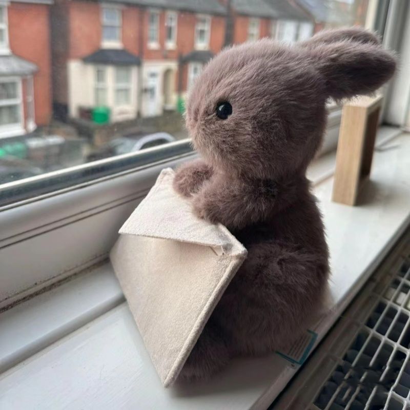 Envelope rabbit