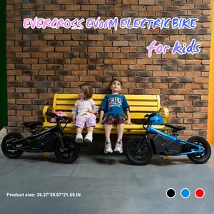 UK EU USA Warehouses Dropshipping Cheap Selling New Style EV06M Electric Motorcycle Kid Wholesale Price