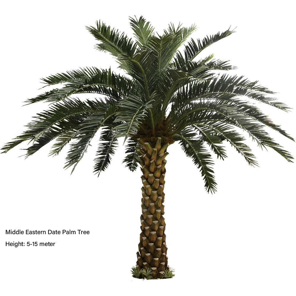 Dattier artificiel du Moyen-Orient