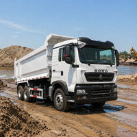 Низкая цена, самосвал RHD с 10 колесами, 371 л.с., для строительных работ