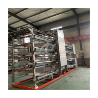 Cage automatique de type H pour poulets et poulettes, pour 25 000 oiseaux, ferme au Nigeria