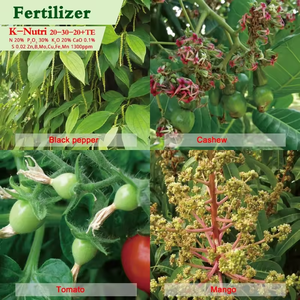 Kenvos <span class=keywords><strong>K</strong></span> - NUTRI Fertilizante Compuesto Soluble en Agua NPK 20-30-20 +TE - Product Image 4