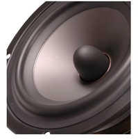 Prix compétitif OEM Hi-Fi Swan 8ohm 35-70w S5N Pilote de haut-parleur milieu de gamme pour home cinéma
