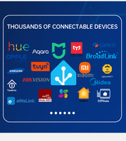 Hub intelligent SIXWGH Home Assistant avec NPU Rockchip 3528, décodage 8K, Bluetooth/WiFi/Zigbee, passerelle universelle pour maison intelligente programmable