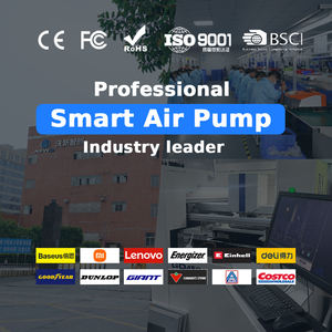 Pompe électrique haute pression NEWO NW10 20PSI, gonflage rapide 150L/min pour <span class=keywords><strong>SUP</strong></span>, kayak, avec écran LED et adaptateur voiture. - Product Image 2
