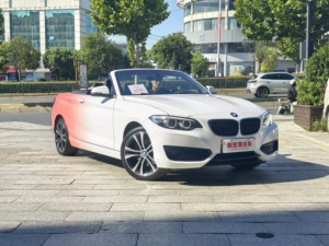 Un'auto sportiva convertibile di seconda mano di alta qualità e conveniente della serie 2 2019 2 serie 220i - Product Image 3