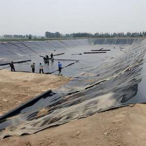 Hoge Dichtheid 1.0Mm Hdpe Geomembrane Voering Polyethyleen/Plastic Kunstmatige Meertank/Vijver Viskwekerij Dam Park Visvijver Beste Prijs - Product Image 5
