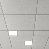 Panneaux de plafond carrés en PVC sur mesure, dalles décoratives intérieures pour la modernisation des plafonds des bâtiments commerciaux et résidentiels