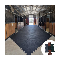Tuiles en caoutchouc emboîtables pour pistes de courses de chevaux, non toxiques, en gros, briques de pavage en forme d'os de chien