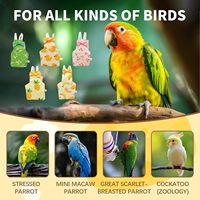 Popok Burung, Baju Terbang Burung Beo, Dapat Dicuci, Dapat Digunakan Kembali, dengan Pita Lucu untuk Burung Parkit, Cockatiel, Conure, Burung Kecil dan Sedang