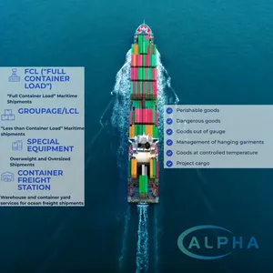 门到门海运货运代理 EXW FCA FOB DDP DAP 中国到捷克海运代理 储运保险 送货 - Product Image 2