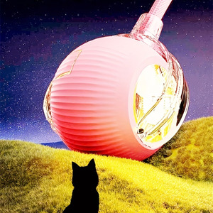 Jouet pour chat Playpal USB, balle de chat USB, jouet électrique automatique intelligent pour soulager l'ennui, pour chat et chien - Product Image 6