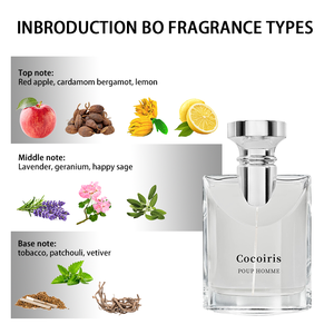 <span class=keywords><strong>2025</strong></span>新デザイン卸売りリードディフューザーセットアロマセラピーホームホテルエッセンシャルオイル長長持ち女性用フレグランスギフトセット - Product Image 4