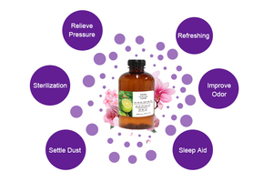 <span class=keywords><strong>Oli</strong></span> <span class=keywords><strong>Essenziali</strong></span> 2024: Aroma Affascinante, <span class=keywords><strong>Oli</strong></span> all'Arancia Colorati, Miglior Olio Profumato <span class=keywords><strong>per</strong></span> Hotel e <span class=keywords><strong>Casa</strong></span> - Product Image 5