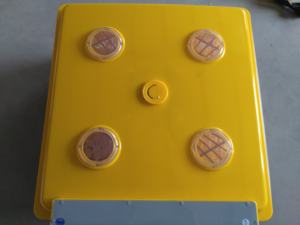 ZH-196 계란 부화기 196 달걀은 판매/200 계란 인큐베이터/부화 상자 부화 약 200 계란 - Product Image 3