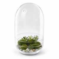Terrarium en verre borosilicate fait main avec couvercle en verre et trou de ventilation, récipient transparent pour exposition de plantes