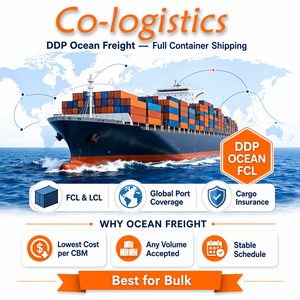 Soluzione Professionale DDP via Mare, Sdoganamento e Spedizione Porta a Porta LCL+Express con Assicurazione Inclusa per il Commercio Globale - Product Image 4