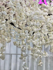 CM-TH366 Bán Buôn Màu Hồng Trắng Nhật Bản Nhân Tạo Sakura Hoa Trang Trí Nhân Tạo Hoa Anh Đào Cây Chi Nhánh Cho Đám Cưới - Product Image 5