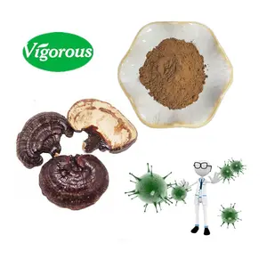 De alta calidad muestras gratis de Ganoderma sinense Extracto de hongo púrpura/Reishi en polvo