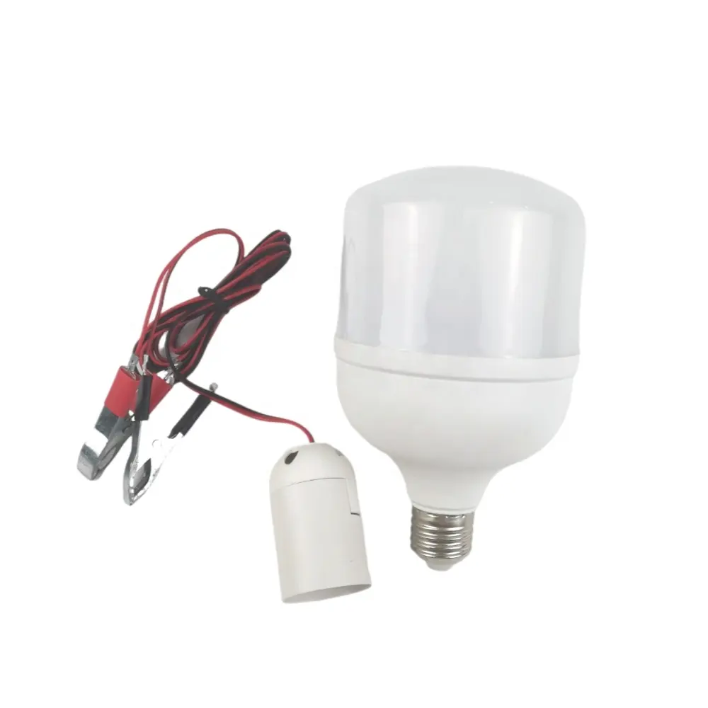 LED電源LED電球LED電球12ボルトDC 12 V E27 20W 30W 40W 50W 60W Tタイプ12 V PC 80A19住宅用