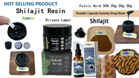 Capsules personnalisées d'extrait de résine de Shilajit pure de l'Himalaya naturel de marque privée/capsules de Shilajit d'acide fulvique d'extrait de Shilajit