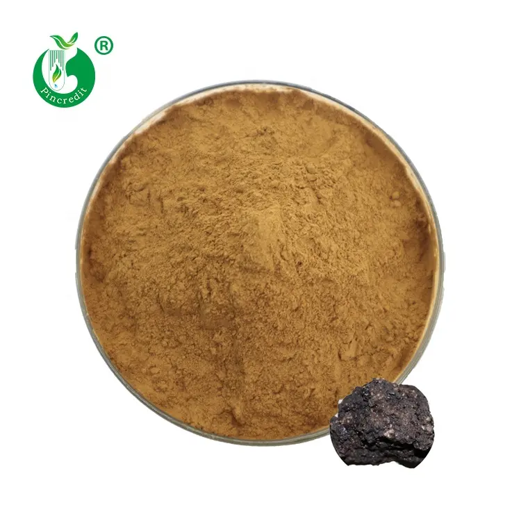 Wholesale Cheap Price 100% Natural Humic Acid Fulvic Acid Shilajit Extract Powder
