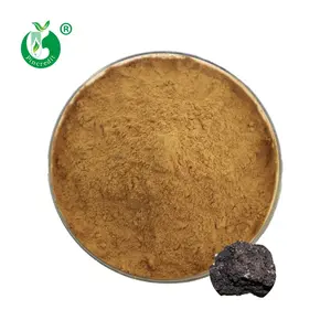 Extrait de Shilajit en poudre, 50g, acide huvique naturelle 100%, vente en gros, bas prix