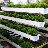 Système de culture hydroponique verticale NFT, canal de drainage, PVC de qualité alimentaire pour la culture commerciale en intérieur de légumes-feuilles, laitue, herbes
