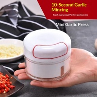 Groentehakker Knoflook Twister Crusher Mini Handmatige Voedselkeukenhakker Kruiden Shredder Smasher Fruit Rode Peper Grinder