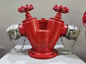 2024 New Vietnamese Type Double Body And Double Outlet Fire Hydrant