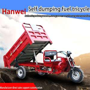 Potente Transportador <span class=keywords><strong>de</strong></span> Frutas <span class=keywords><strong>de</strong></span> 200cc con Opción <span class=keywords><strong>de</strong></span> Cabina Cerrada, Triciclos a Gasolina - Product Image 2