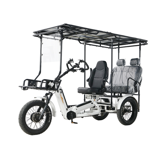 New Design Electric Trike Fat Tire 3 Wheel Electric Tricycle 48v 2500w Adult Cargo Electric Bike for Sale