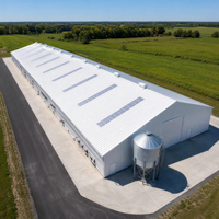 Bâtiment d'élevage avicole préfabriqué en acier durable et économique pour poulets de chair, idéal pour les exploitations modernes.