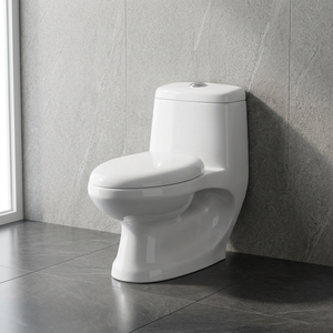 Offre Spéciale : WC Monobloc en Céramique Style Arabe pour le Moyen-Orient, Chasse d'eau Cyclone, Sanitaire pour Salles de Bain / Cabines WC - Product Image 2