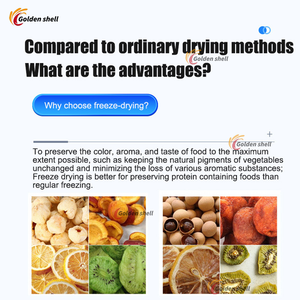 Sıcak satış yüksek verimli endüstriyel meyve kurutma makinesi vakumlu dondurucu kurutucu çilek dondurma kurutma - Product Image 6