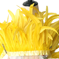 Plumes de coq en gros pour déguisements de carnaval, 25-30 cm, pour coiffes, chapeaux de fête, décoration et couture de vêtements