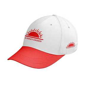 Gorra de béisbol con logotipo personalizado de EE. UU. 100% algodón Fabricante de fábrica de comercio exterior transfronterizo para selección de voz Desantis - Product Image 2