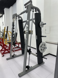 Oferta Especial: Máquina <span class=keywords><strong>Smith</strong></span> Vertical de Acero Galvanizado Rosen Fitness con Placas de Pesas para Entrenamiento de Fuerza en Gimnasio - Product Image 2