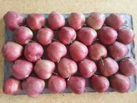 Chinese verse groenten fruit Gala appels rode appel Fuji appel prijs import