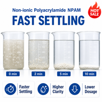 Polyacrylamide non ionique pour additif chimique en poudre pour fluides de forage pétrolier