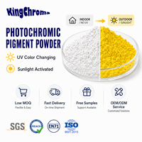 Venta al por mayor de pigmento fotocrómico UV, polvo sensible a la luz solar que cambia de color, para slime, plástico