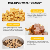Friandises pour chiens OEM ODM 25g en conserve, jaunes d'œufs lyophilisés, naturelles, riches en protéines, pour la santé de la peau et du pelage, stimule l'appétit et l'hydratation