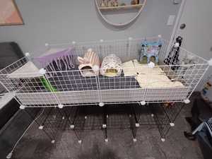 Module de rangement modulaire <span class=keywords><strong>DIY</strong></span> en forme de cube pour animaux de compagnie, armoire portable, étagère à chaussures, en plastique solide, style classique avec plateau en plastique - Product Image 4
