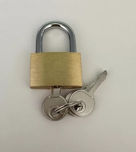 उच्च गुणवत्ता वाला सस्ता 30 मिमी छोटा दरवाजा लॉक एंटी-चोरी सुरक्षा ठोस पीतल पदलॉक - Product Image 4
