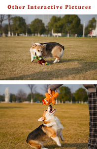 Juguete de peluche con sonido para perros, juguete de perro de alta calidad con diseño único - Product Image 3