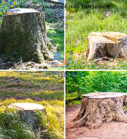 Broyeur de racines de bois automatique Broyeur de souches haute efficacité Broyeur de souches d'arbres vente de machines