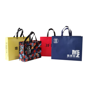 Venta caliente Festival Promocional Plegable Pequeño Laminado <span class=keywords><strong>Pp</strong></span> No Tejido Reutilizable No Tejido Bolsa de Compras - Product Image 6