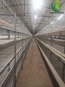 Poulailler automatique pour poules pondeuses, type H, en acier galvanisé, entretien facile, contrôle centralisé, pour l'élevage à grande échelle, Nouveau - Product Image 4